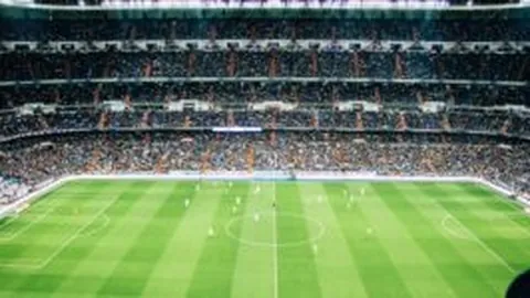 皇冠体育app下载